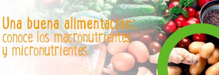 Banner grupos de alimentos saludables