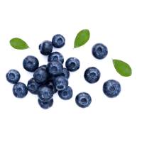 moras azules