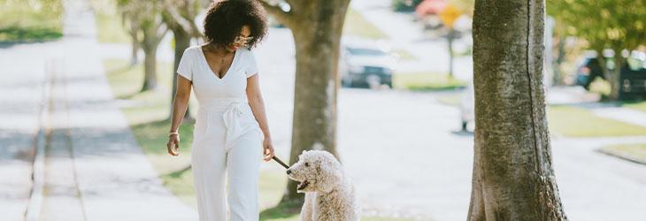 Mujer camina por la calle con su perro por los beneficios para su salud