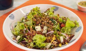 22.-Ensalada-de-quinoa-roja,-vegetales-y-lentejas-crocantes 565x442.jpg