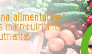 Banner grupos de alimentos saludables